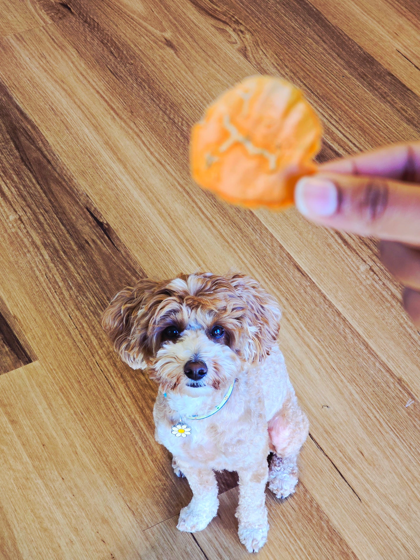 Sweet Potato Chips