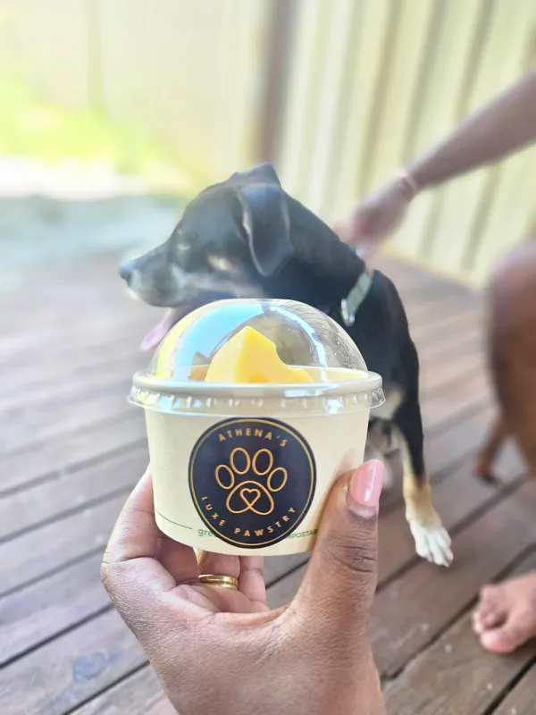 Golden retriever enjoying Royal Barkery treat