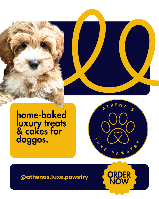 Royal Barkery luxury dog treats packaging